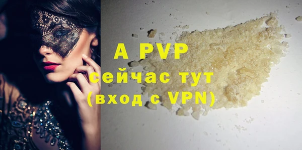стафф Заволжск