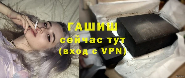 стафф Ельня