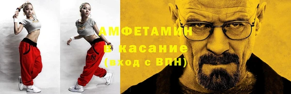 стафф Ельня
