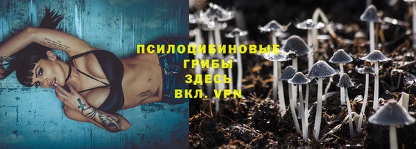 стафф Ельня