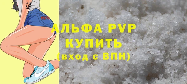 стафф Ельня