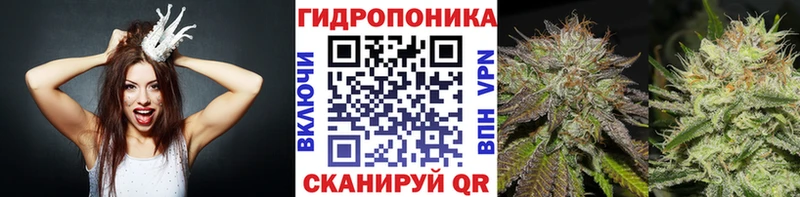 Бошки Шишки SATIVA & INDICA где найти наркотики Новочеркасск